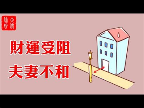 對我生財電線桿